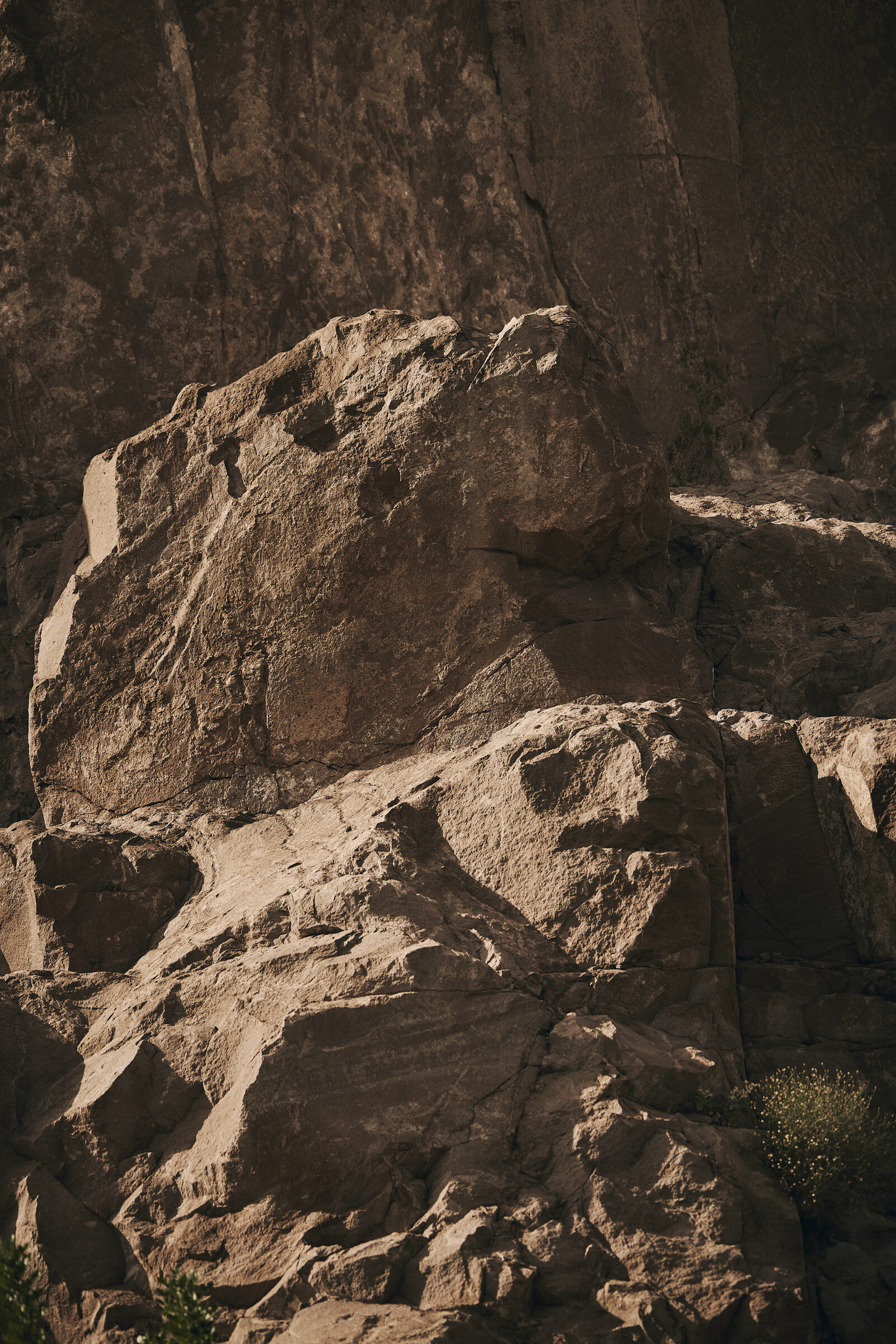 Ascaya